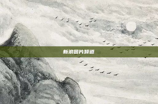 新浪图片频道