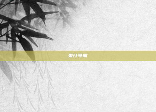 果汁导航