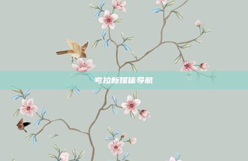 考拉新媒体导航