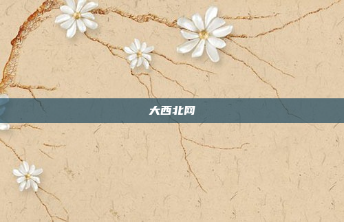 大西北网