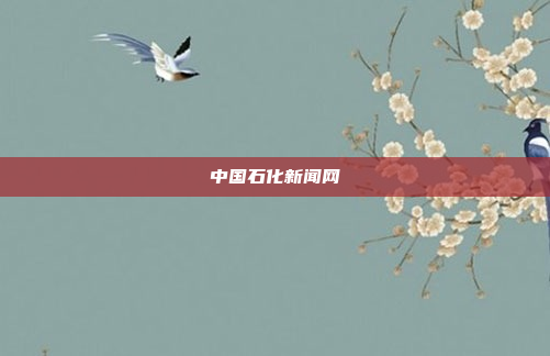 中国石化新闻网