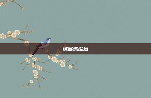 域名城论坛