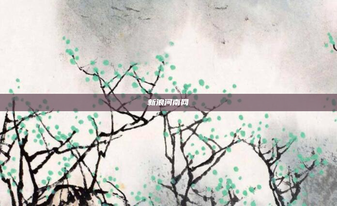 新浪河南网