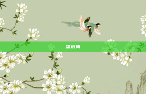 望京网