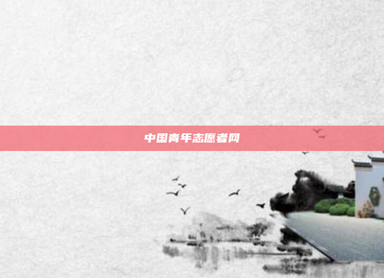 中国青年志愿者网