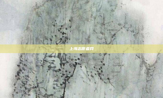 上海志愿者网