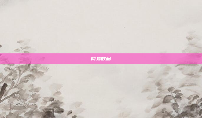 网易数码