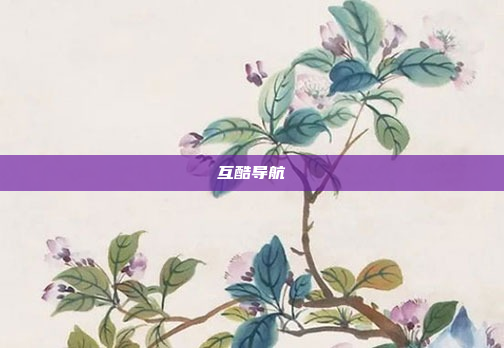 互酷导航
