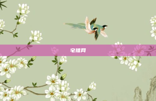 宅推网