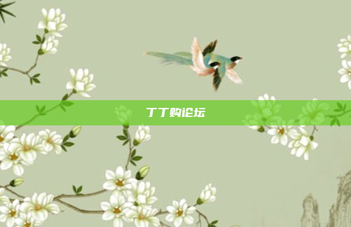丁丁购论坛