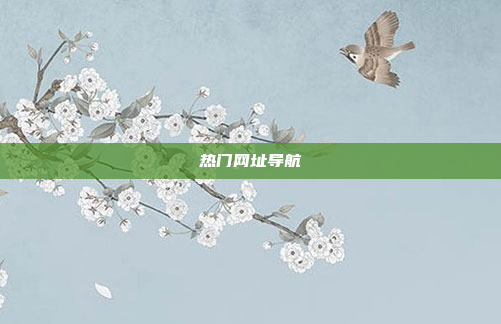 热门网址导航