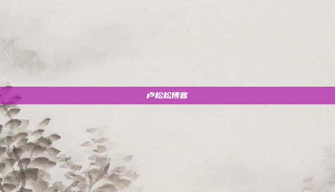 卢松松博客