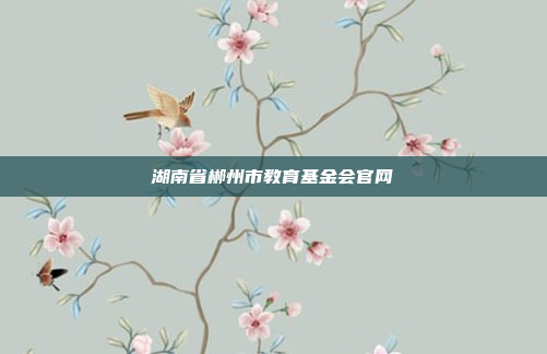 湖南省郴州市教育基金会官网