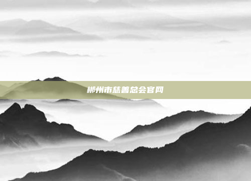 郴州市慈善总会官网