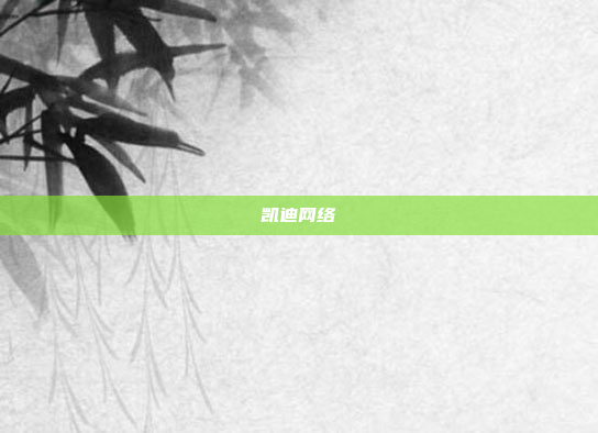 凯迪网络