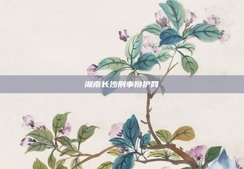 湖南长沙刑事辩护网