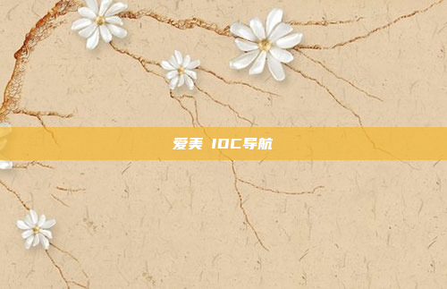 爱美㚢IDC导航