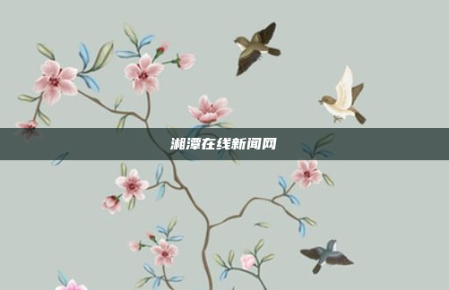 湘潭在线新闻网