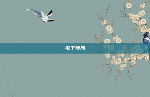 电子琴网