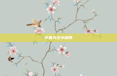 华夏天空小说网