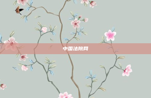 中国法院网