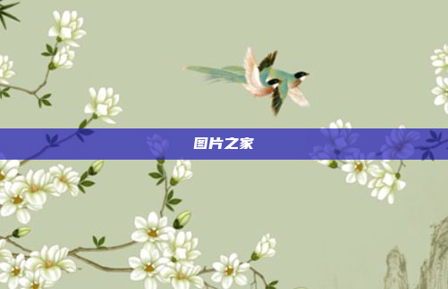 图片之家