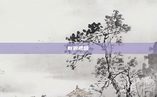 新浪视频