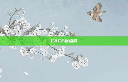 FACE妆点网