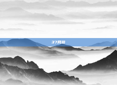 37网游