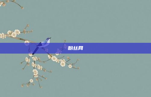 粉丝网