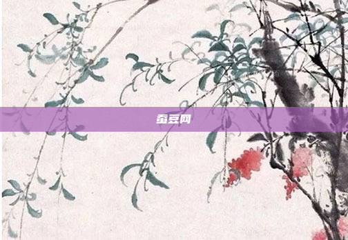 蚕豆网