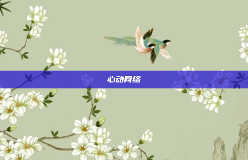 心动网络