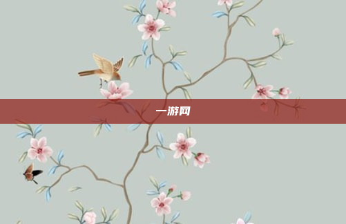 一游网