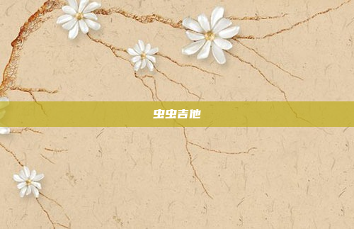 虫虫吉他