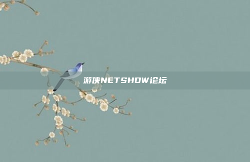游侠NETSHOW论坛