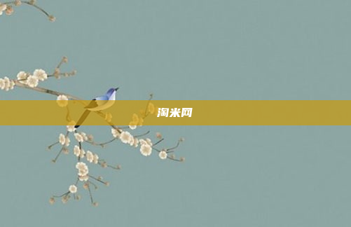 淘米网