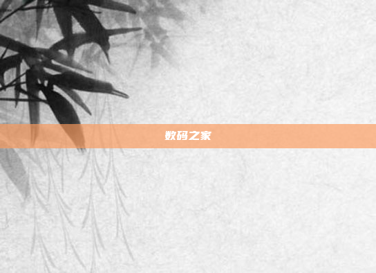 数码之家