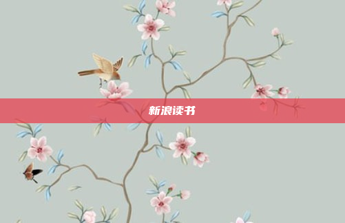新浪读书