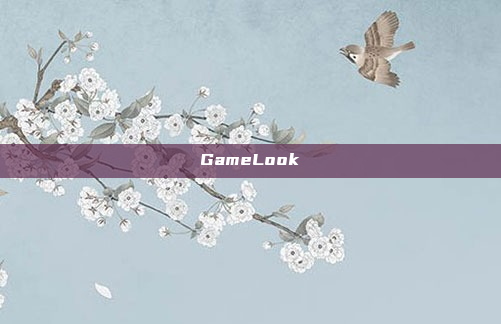 GameLook