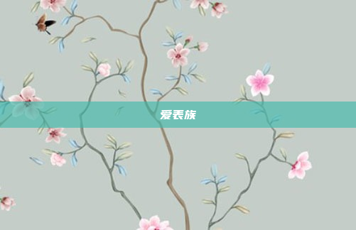 爱表族