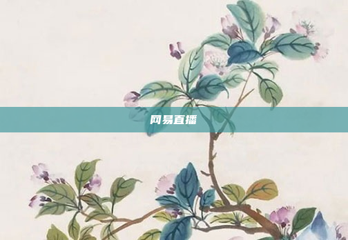网易直播