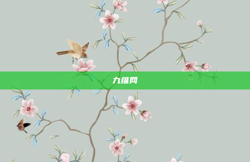 九维网