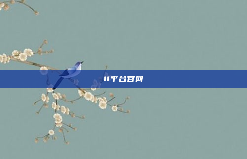 11平台官网
