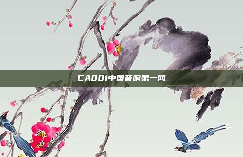 CA001中国音响第一网