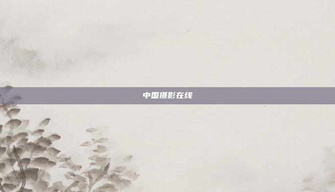 中国摄影在线