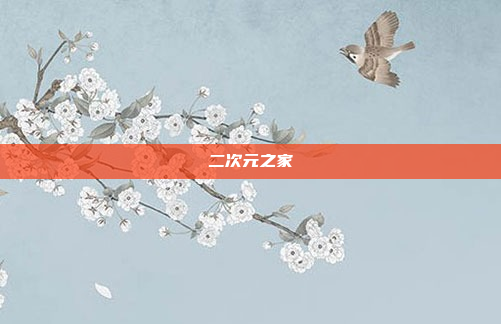 二次元之家