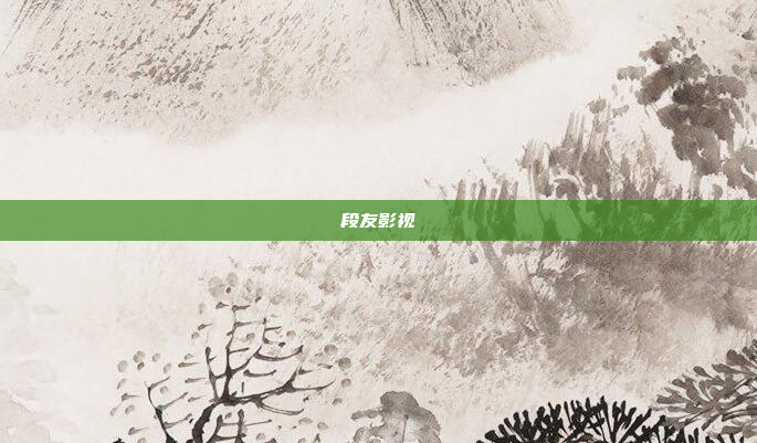 段友影视