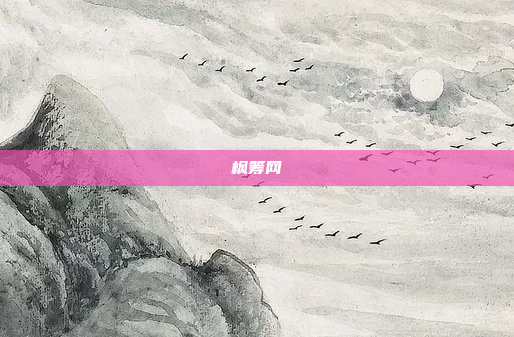 枫筹网