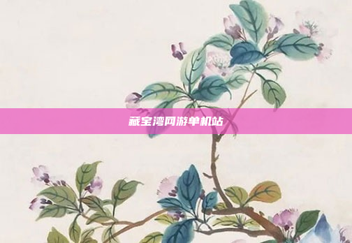藏宝湾网游单机站