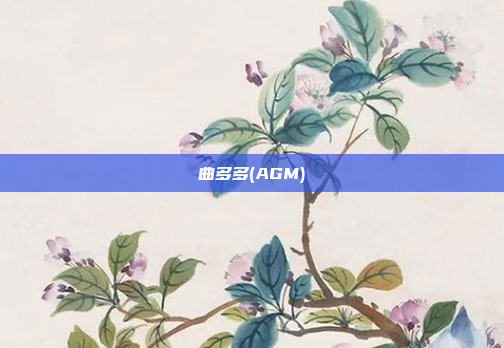 曲多多(AGM)